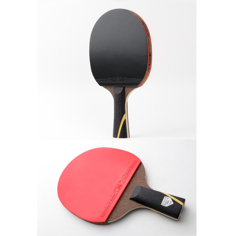 Huieson 6 Star Upgraded Table  - Table Tennis Viscaria ulasan dan harga