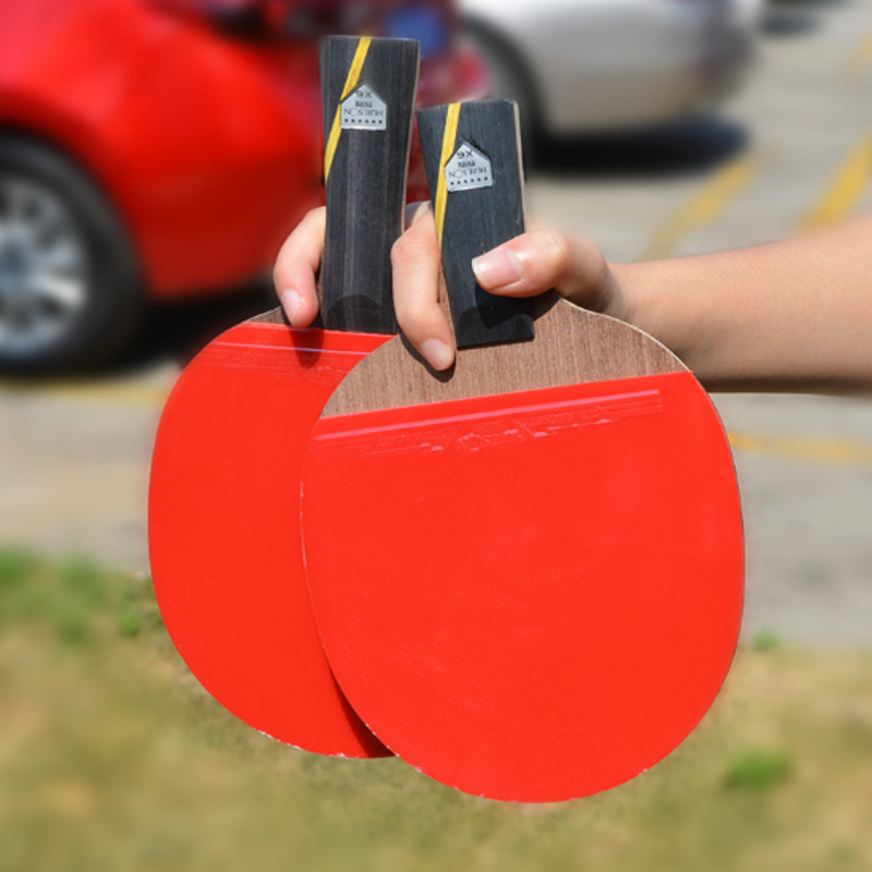 Huieson 6 Star Upgraded Table  - Table Tennis Viscaria ulasan dan harga
