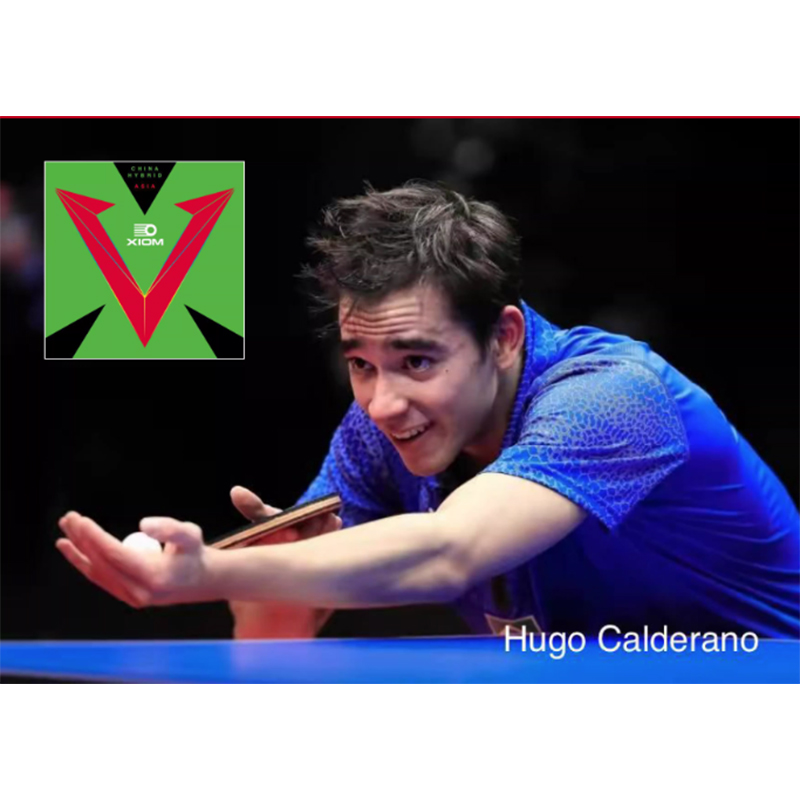 XIOM VEGA ASIA HYBRID 79-079 T - Table Tennis Hybrid Rubbers ulasan dan harga