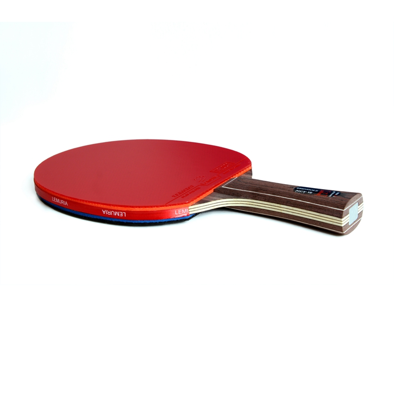 Lemuria EBENHOLZ-Table Tennis  - Table Tennis Viscaria ulasan dan harga