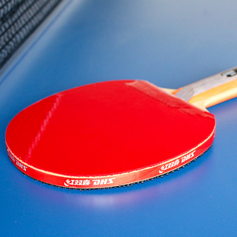 DHS Self-adhesive Table Tennis - Table Tennis Joola ulasan dan harga